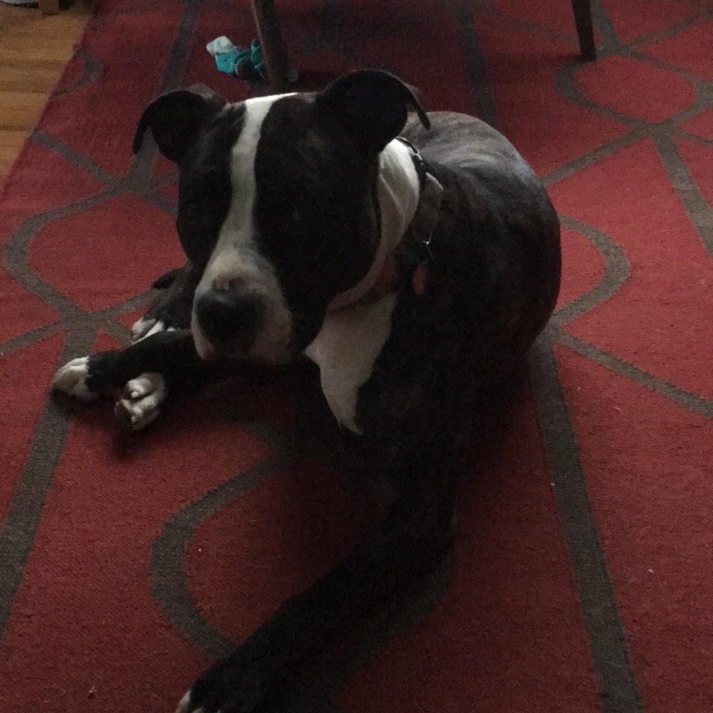 Meet your Posher, Mike